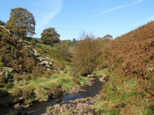 River Goyt