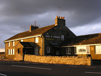 Cat and Fiddle