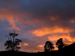 Goyt Valley Sunset