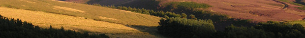 Goyt Valley View