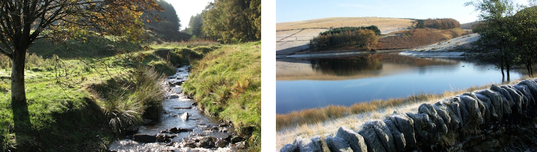 Goyt Valley